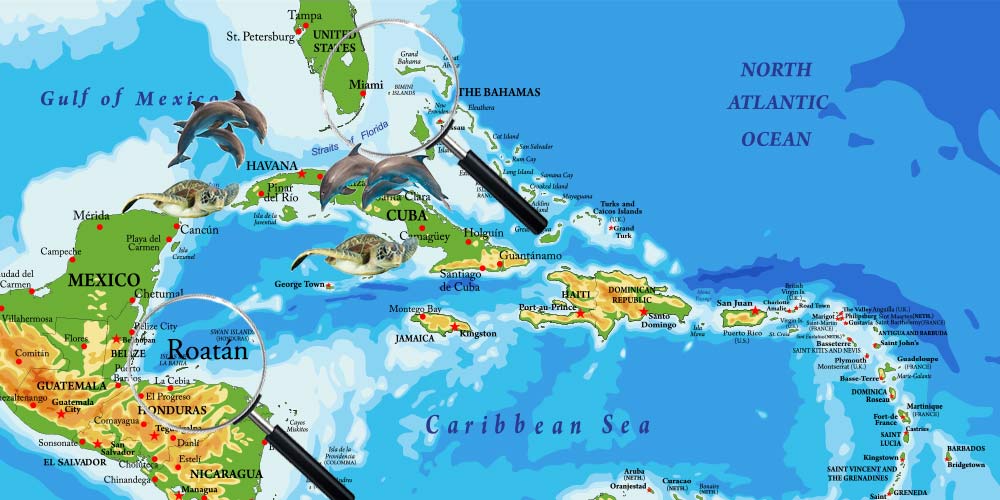 map of USA and Caymans showing locations of aquatic animal medicine locations