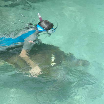 Participant and green sea turtle